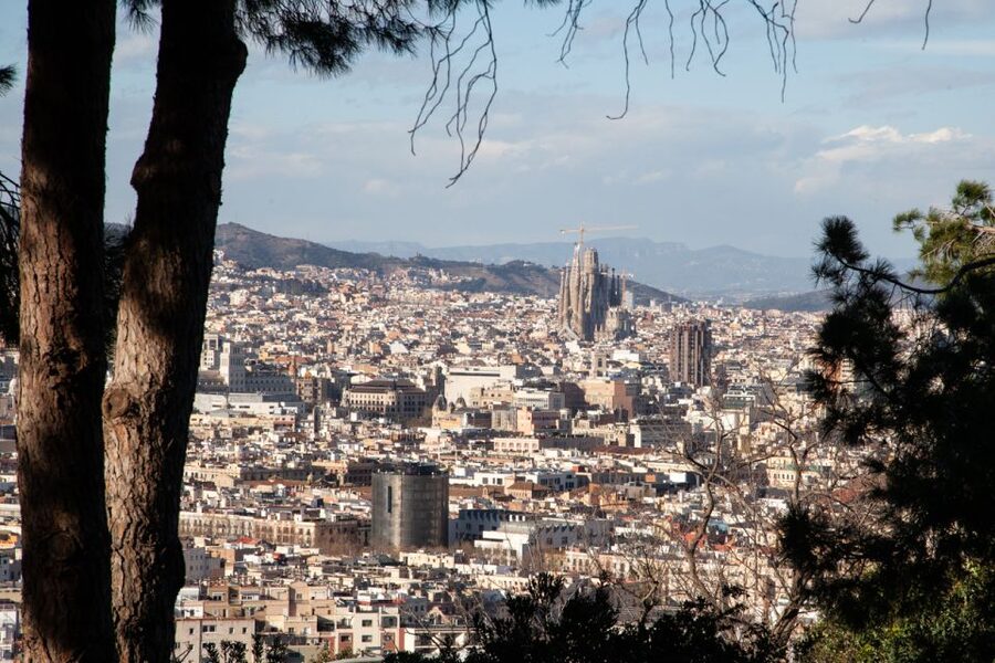 Barcelona: Montjuïc Walking Tour With Optional Flamenco Show - Key points at a glance