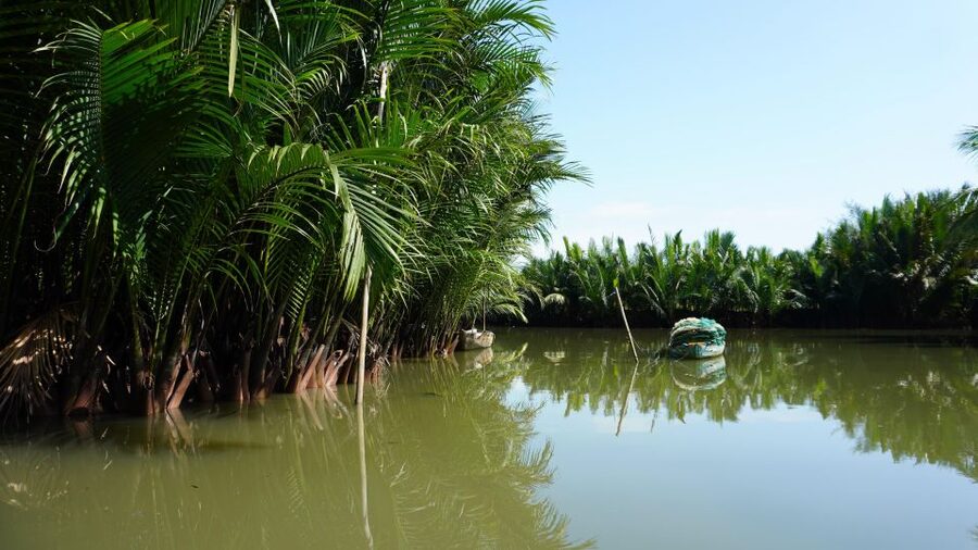 Basket Boat at Coconut Village, Kitchen Show and Big Lunch - How the atmosphere changes by route