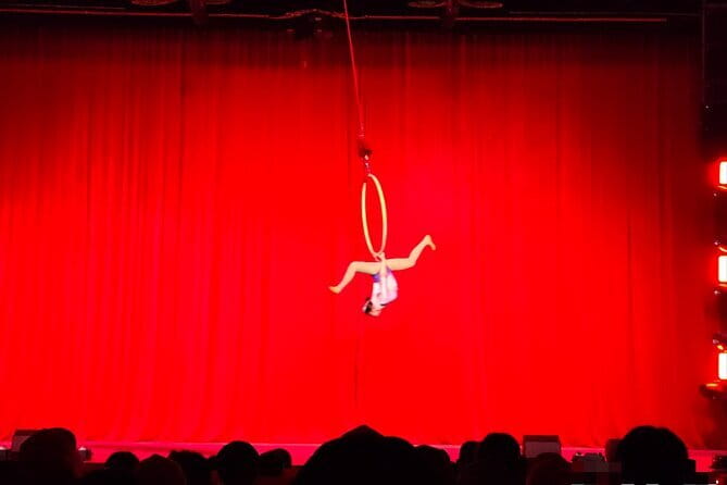 Beijing Acrobatic Show at Regal Palace Theatre (Qin Le Gong) - The VIP seating question