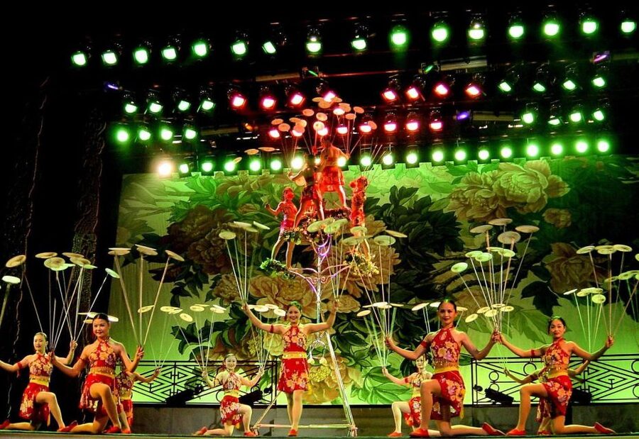 Beijing: Acrobatic Show with Peking Duck Dinner Private Tour - What to expect inside the acrobatics show