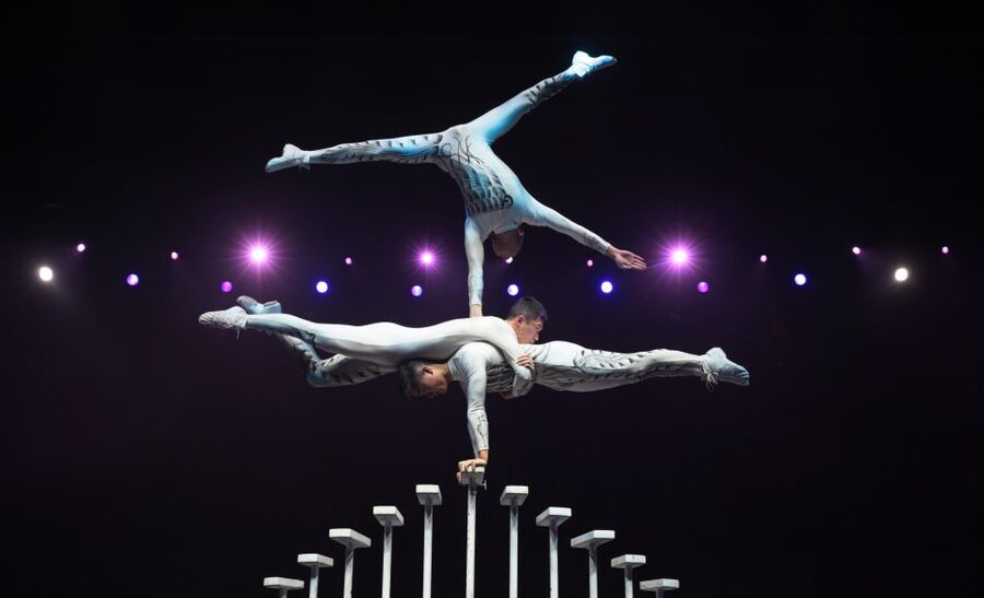 Beijing Night Tour with Acrobatics Show & PekingDuck Dinner - Should you book this Beijing evening?