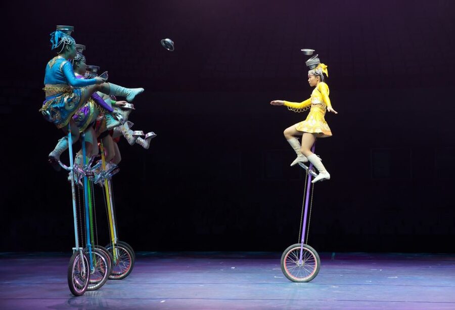 Beijing Night Tour with Acrobatics Show & PekingDuck Dinner - What the $192 price really covers