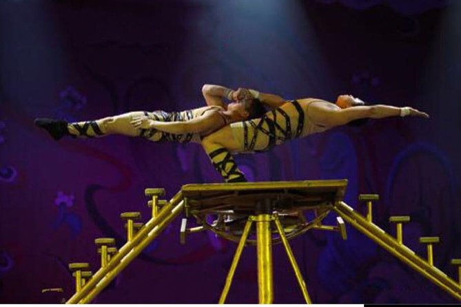Beijing Red Theater Acrobatic Show with Private Transfer Service - Key details before you book