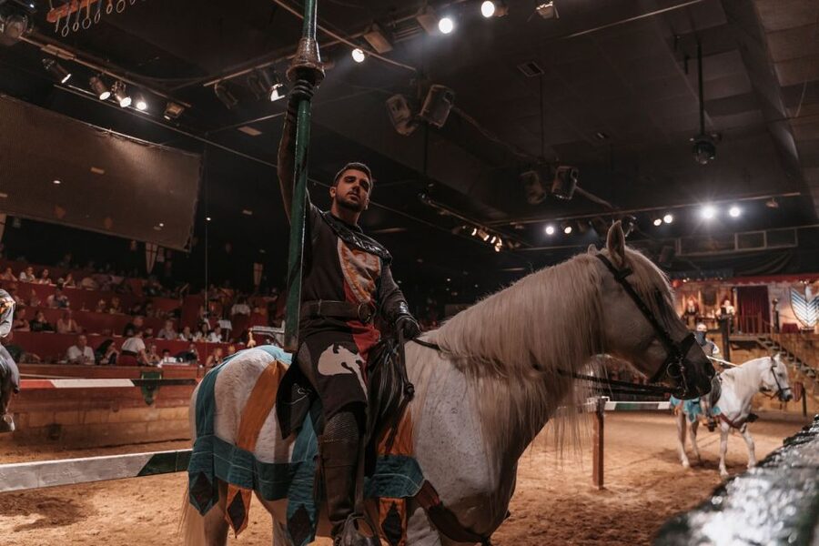 Benidorm: Dinner with Show at Magic Robin Hood - Small details that can shape your choice