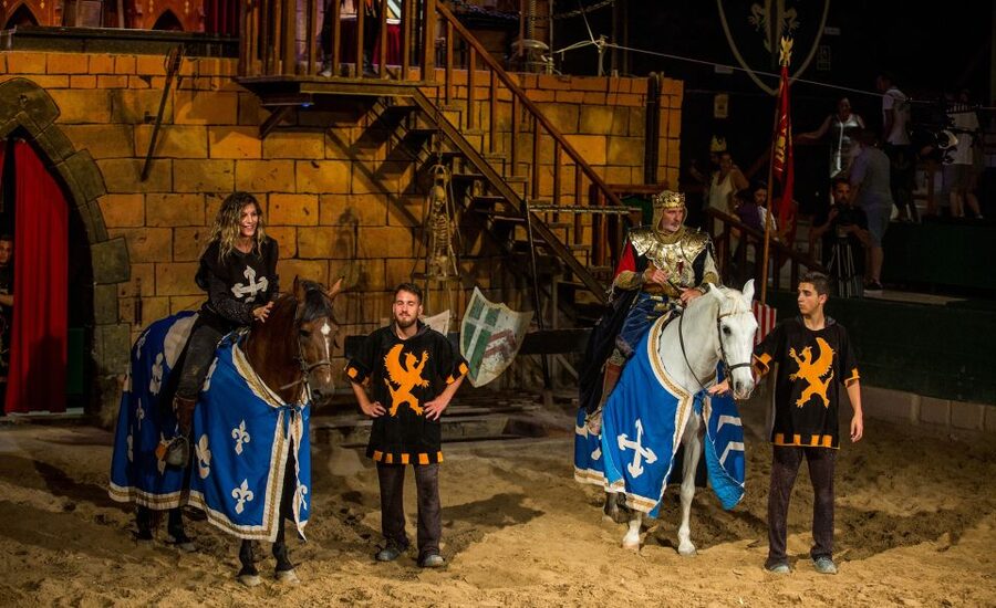 Benidorm: Dinner with Show at Magic Robin Hood - Standard dinner: plenty of familiar food
