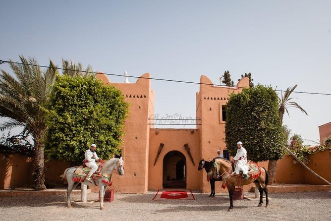 Berber evening dinner & show fantasia - Who Will Enjoy This Evening Most?