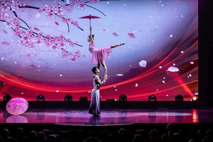 Branson: Grand Shanghai Circus Show Entry Ticket - Key points to know before booking