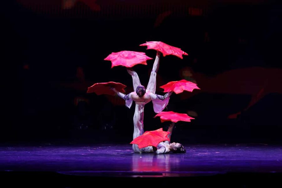 Branson: Grand Shanghai Circus Show Entry Ticket - Choosing your day and time