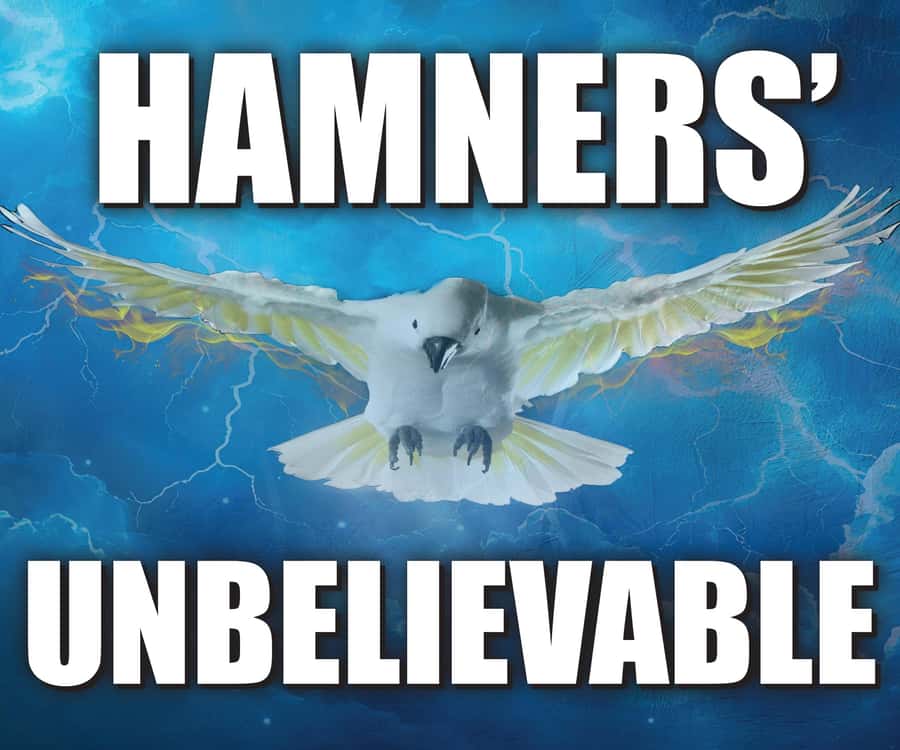 Branson: Hamners' Unbelievable Variety Show Entry Ticket - Dance, aerial work, and the Cyr Wheel