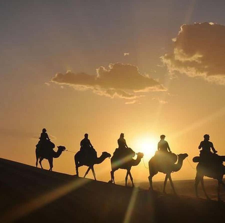 Buggy ride with camels and dinner show in agafay desert - Key points to know before booking