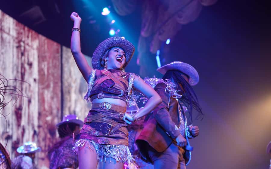 By Night Tour: Roxy Dinner Show & Transfer - Practical booking advice for a smoother evening