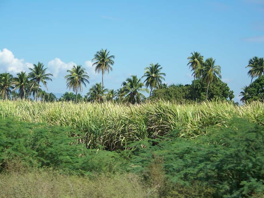 Cabarete: 2-Person Dominican Countryside Buggy Tour - Key points before you book