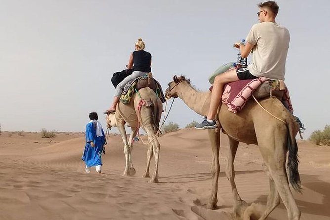 Camel Ride in Desert with Dune Bashing, BBQ Dinner and Belly Dance - From Dubai pickup to the Lahbab dunes