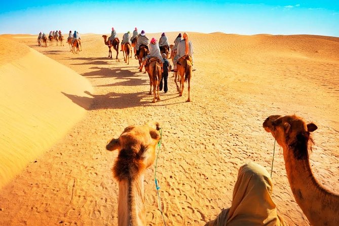 Camel Ride in Desert with Dune Bashing, BBQ Dinner and Belly Dance - Is $73.87 a fair price?