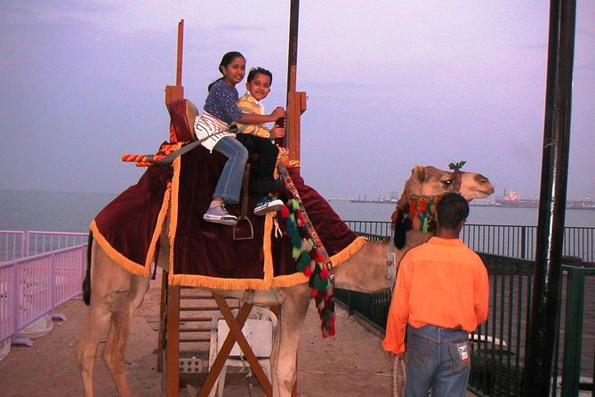 Camel Ride in Desert with Dune Bashing, BBQ Dinner and Belly Dance - Should you book it?