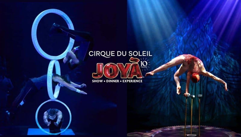 Cancún: Cirque du Soleil JOYÀ Entry Ticket and Transfer - Key points before you book