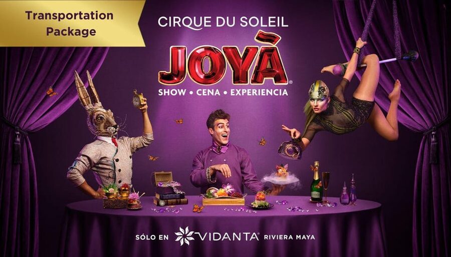 Cancún: Cirque du Soleil JOYÀ Entry Ticket and Transfer - The show, the venue, and the printed photo