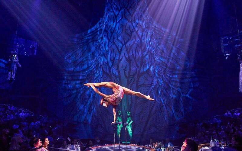 Cancún: Cirque du Soleil JOYÀ Entry Ticket and Transfer - Small details that can save your evening