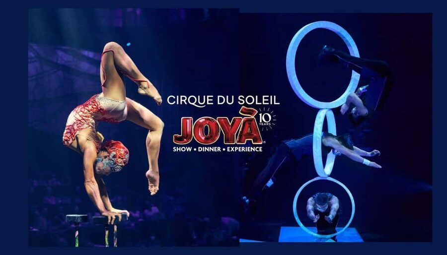 Cancún: Cirque du Soleil JOYÀ Show Ticket - Getting there from Cancún or Playa del Carmen