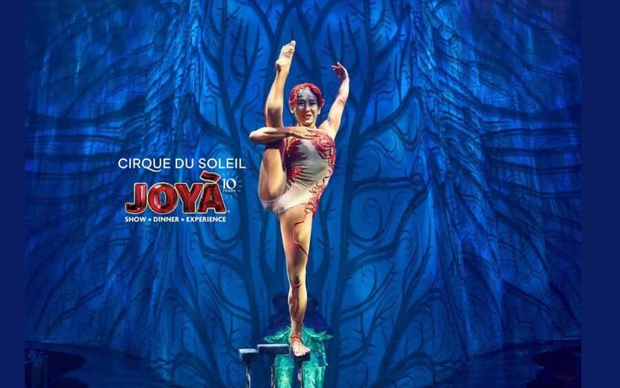 Cancún: Cirque du Soleil JOYÀ Ticket - The Dinner Is Part of the Design