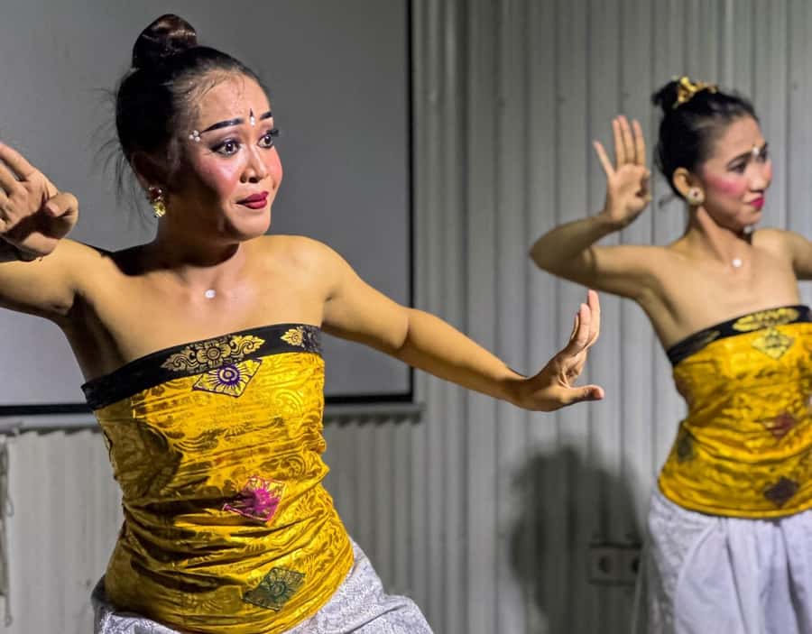 Canggu: Deaf Dancer Show with Dinner - Who should book this experience
