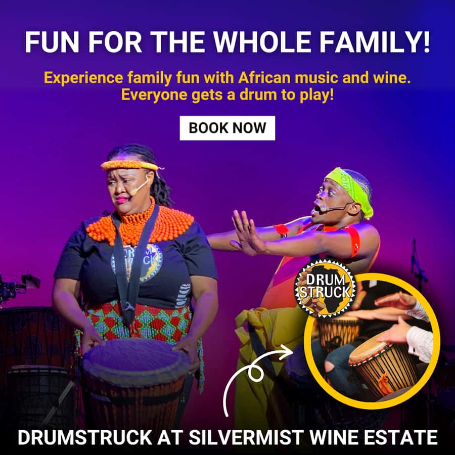 Cape Town: Silvermist Estate Wine Tasting & Drumstruck Show - The optional South African braai