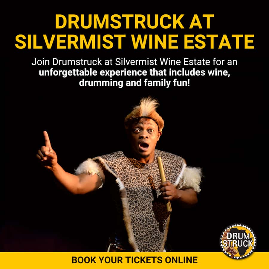 Cape Town: Silvermist Estate Wine Tasting & Drumstruck Show - What the $28 price delivers