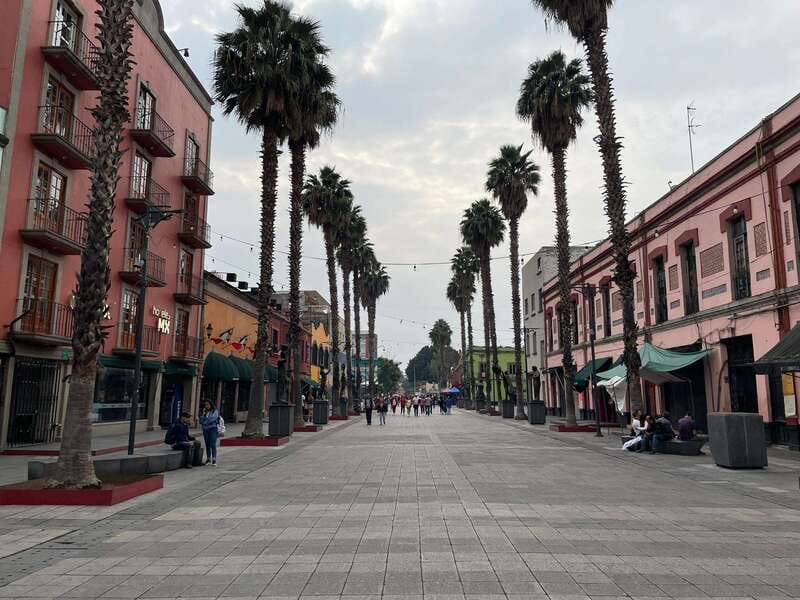CDMX: Garibaldi Copa Show - Key points at a glance