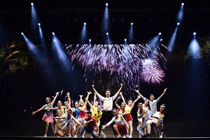 Charming Da Nang Show Ticket - Traditional music with a modern stage style