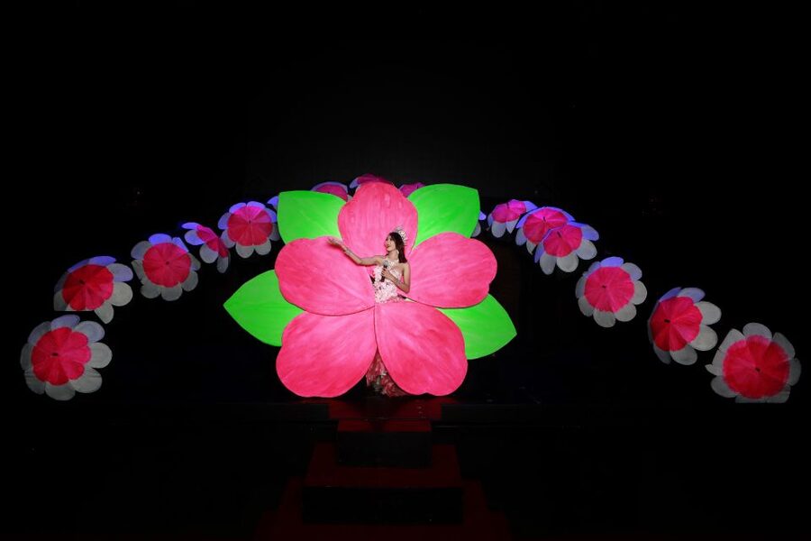 Chiang Mai: Siam Dragon Cabaret Show with Optional Transfer - What happens once the curtain rises