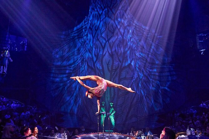 Cirque du Soleil JOYÀ Admission Tickets - A Cirque show built around Mexico and the monarch butterfly