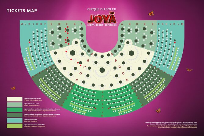 Cirque du Soleil JOYÀ Admission Tickets - Who will enjoy JOYÀ most?