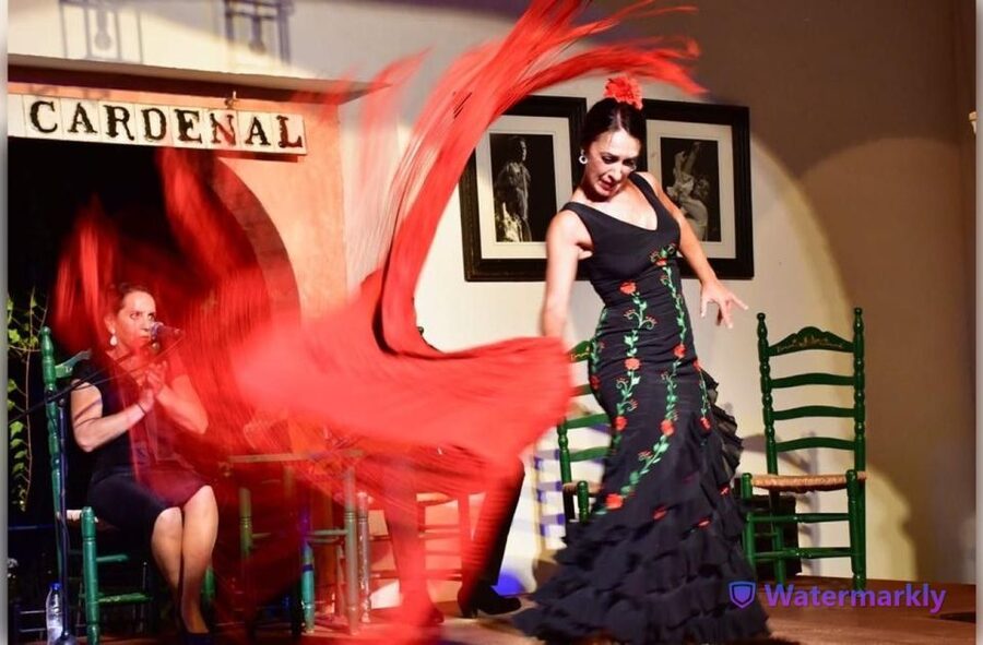 Córdoba: Flamenco Show Ticket with Drinks - Why this Córdoba flamenco show works so well
