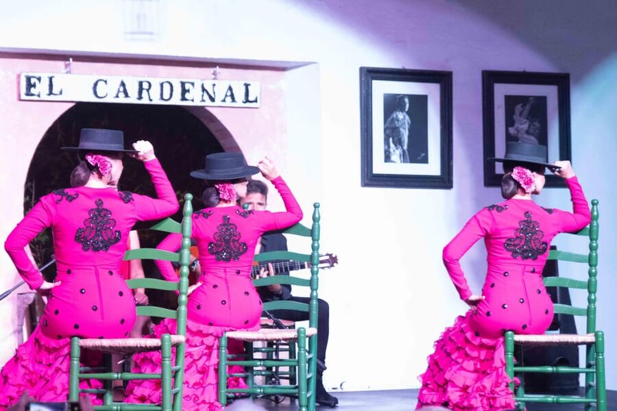 Córdoba: Flamenco Show Ticket with Drinks - Comfort, sound, and sightlines