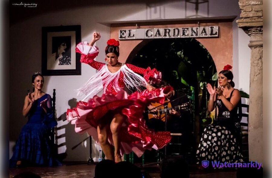 Córdoba: Flamenco Show Ticket with Drinks - Who will enjoy this most
