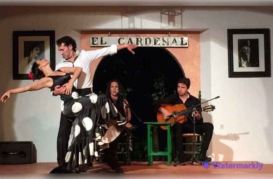 Córdoba: Flamenco Show Ticket with Drinks - Price, timing, and booking advice
