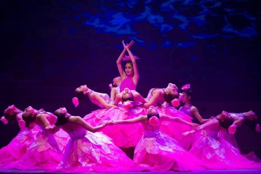Da Nang: Charming Da Nang Show Ticket - Key points to know