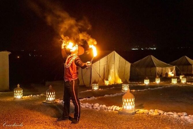 Desert D'Agafay Package - Quad, Dromedary and Dinner Show - Quick points to know