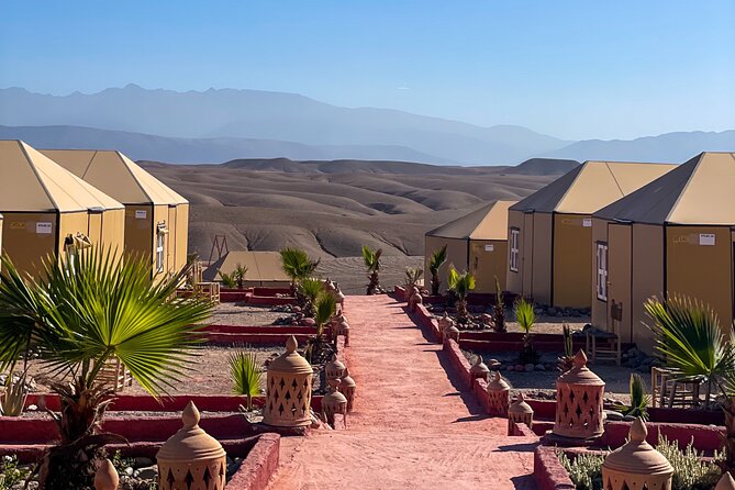 Desert Full Day: Quad, Camel, Dinner & Show or Pool Day and Lunch - Choose the schedule that matches your energy