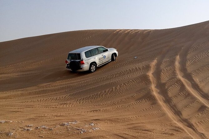 Desert Safari Dubai with BBQ Dinner and Belly Dance - Who will enjoy this desert safari most