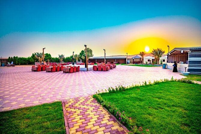 Desert Safari in 4x4 Car with BBQ Dinner and Belly Dance - The value of $69.50 per person