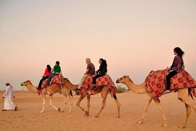 Desert Safari with BBQ Dinner, Camel Ride, Sand Board & Live Show - From Dubai pickup to the red dunes of Lahbab