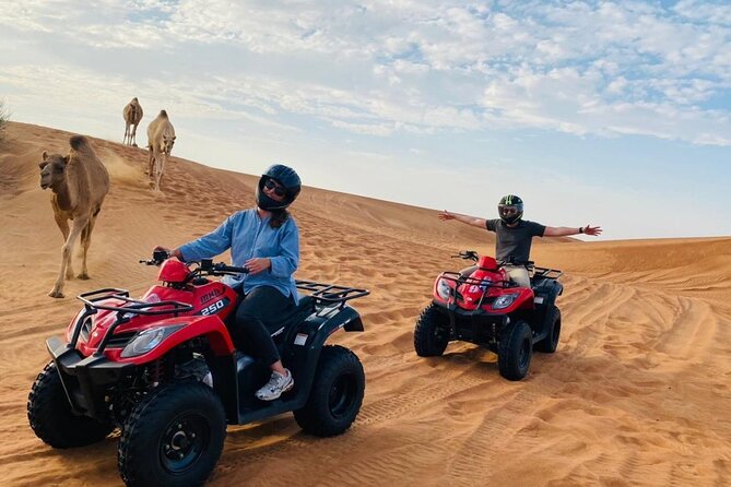 Desert Safari with BBQ Dinner, Camel Ride, Sand Board & Live Show - What $40 really gets you