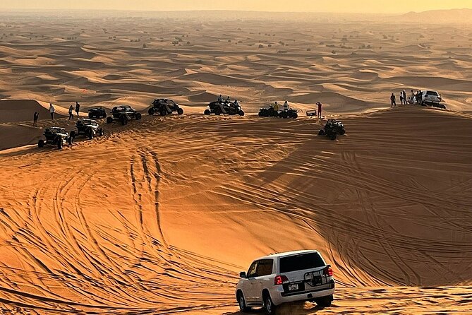 Desert Safari with Camel Ride, BBQ Dinner, Sand Board & Live Show - Key points at a glance