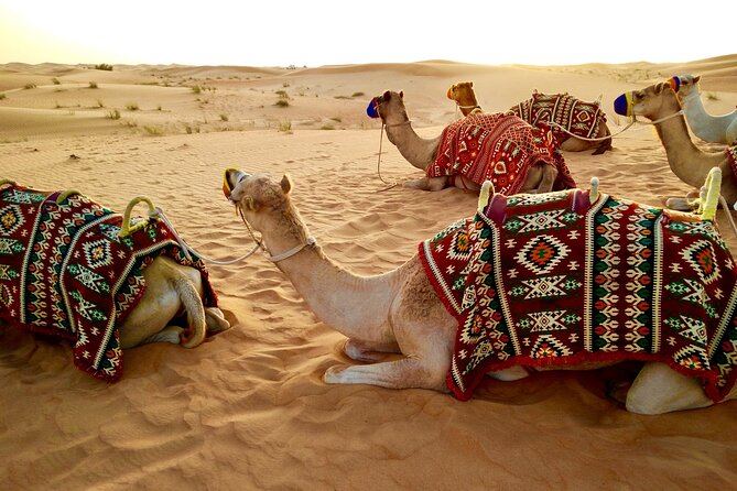 Desert Safari with Camel Ride, BBQ Dinner, Sand Board & Live Show - Arriving at the desert camp