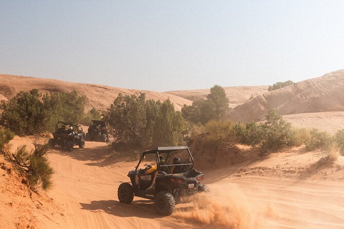 Desert Safari with Camel Ride, BBQ Dinner, Sand Board & Live Show - BBQ buffet and vegetarian choices