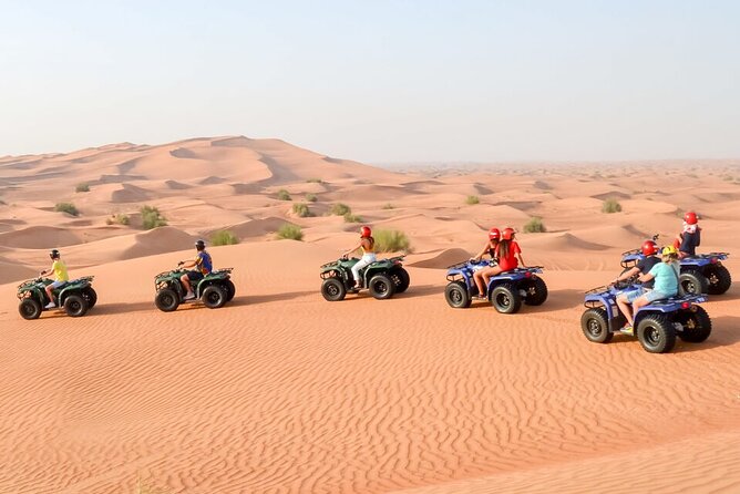 Desert Safari with Camel Ride, BBQ Dinner, Sand Board & Live Show - Timing, comfort, and what to bring