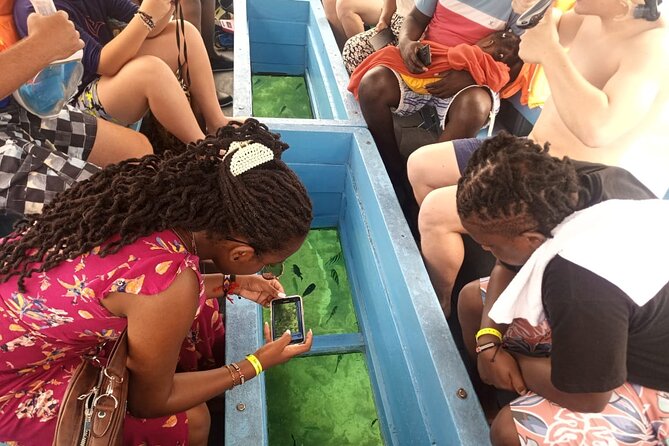 Diani Beach: Glass-bottom Boat Ride with Underwater Show - Key points at a glance