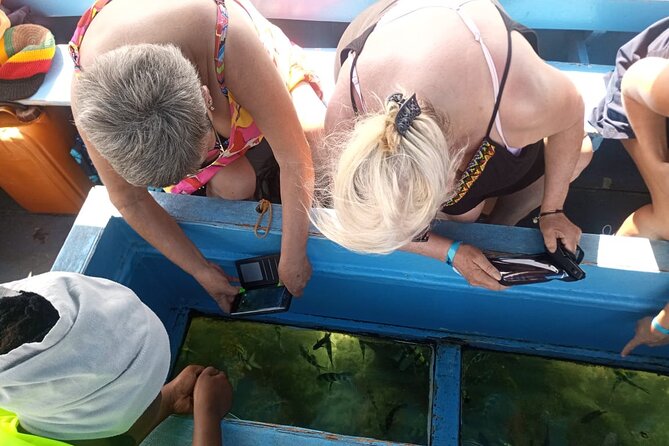 Diani Beach: Glass-bottom Boat Ride with Underwater Show - A small boat with a fish show below