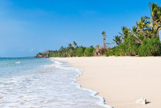 Diani Beach: Glass-bottom Boat Ride with Underwater Show - The captain’s underwater performance